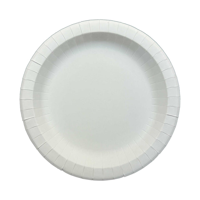 DHG Professional 10.25 inch 170 Pack Classic White Disposable Paper Plates, Soak Proof, Cut Proof, Original Heavy Duty Coated Paper Plates for Everyday Use
